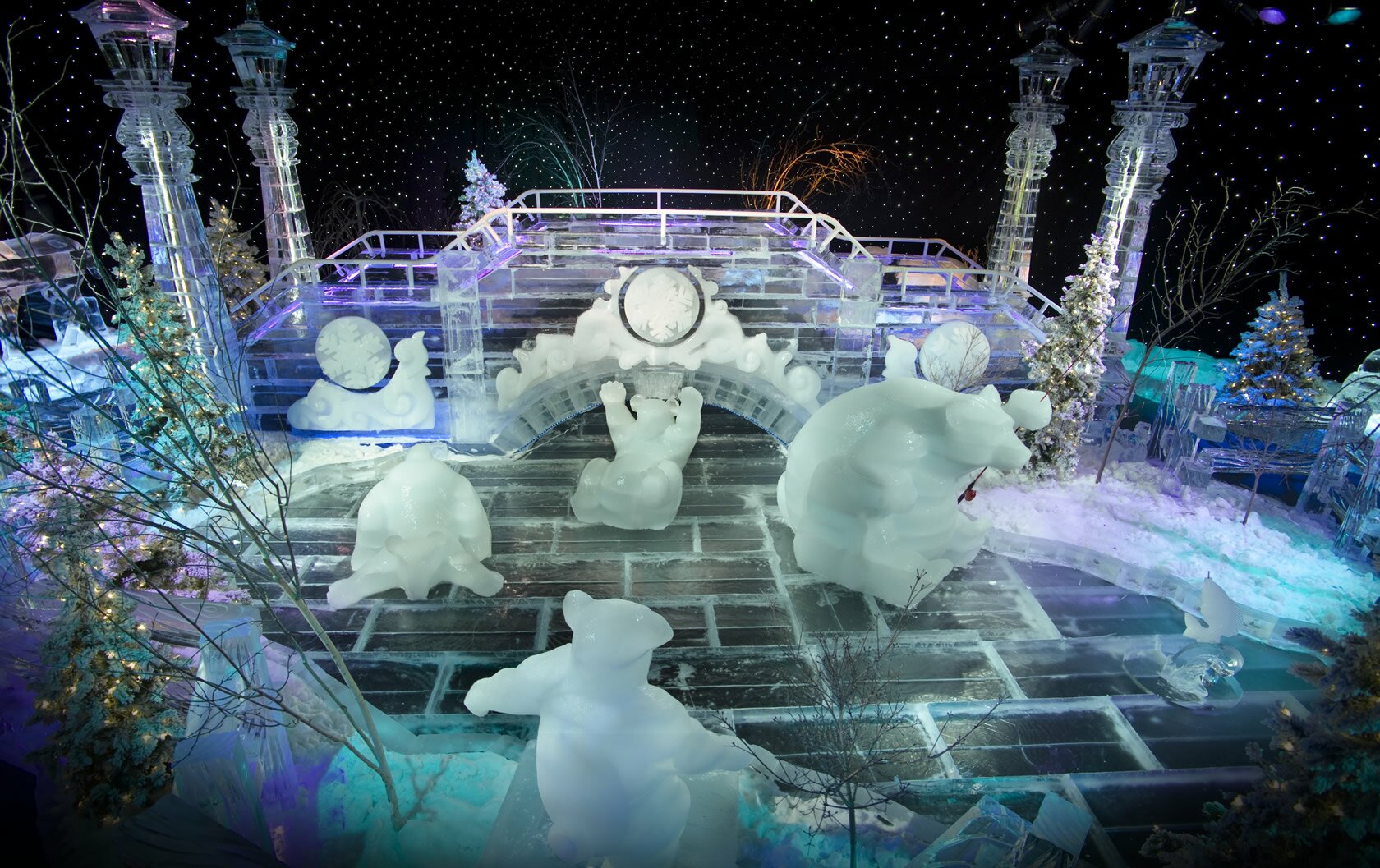 /IceKingdom/images/photo-img13.jpg