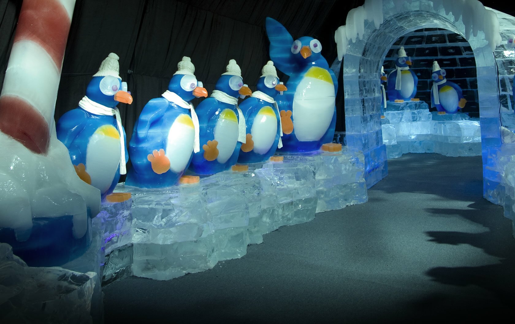 /IceKingdom/images/photo-img8.jpg