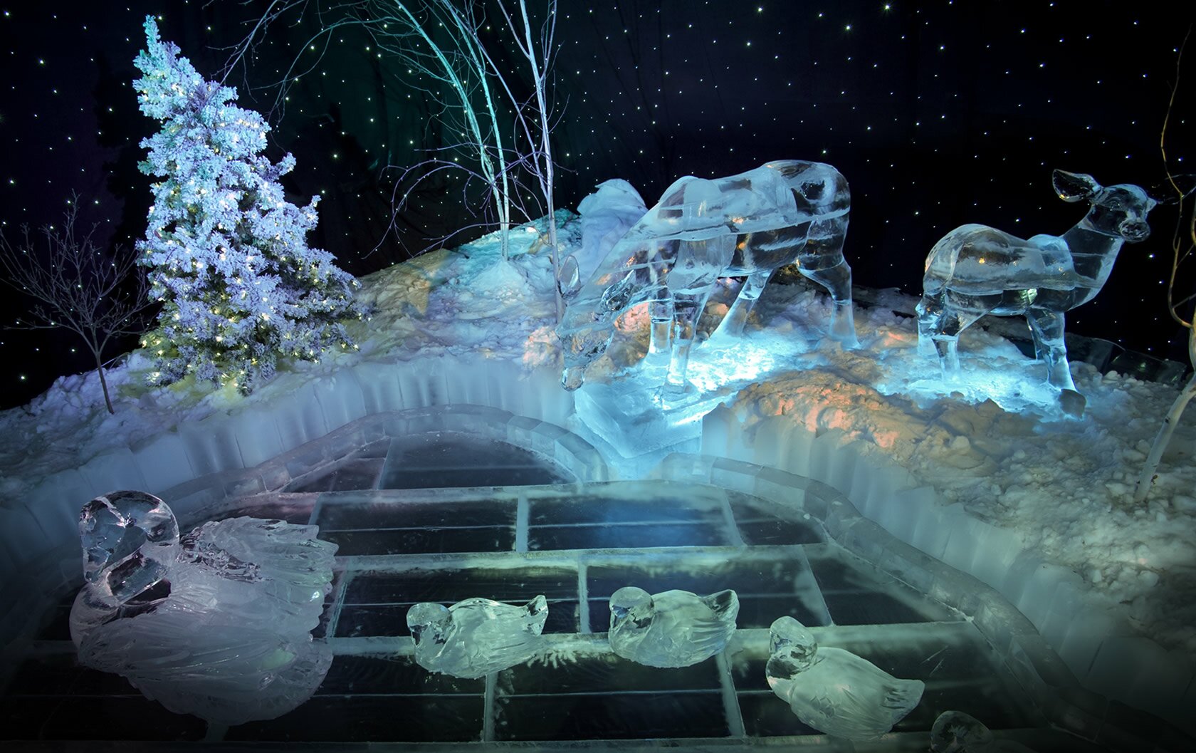 /IceKingdom/images/photo-img9.jpg