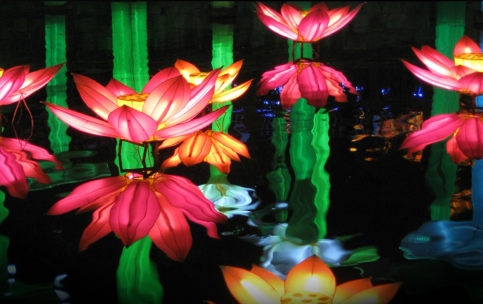 /Luminasia/images/photo-img1.jpg