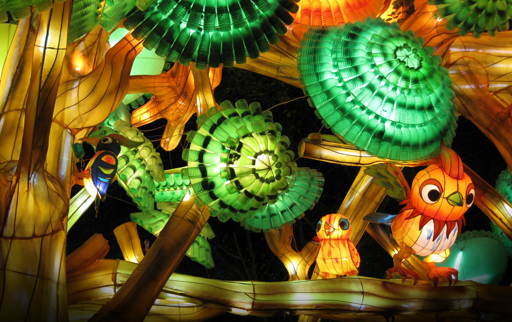 /Luminasia/images/photo-img8.jpg
