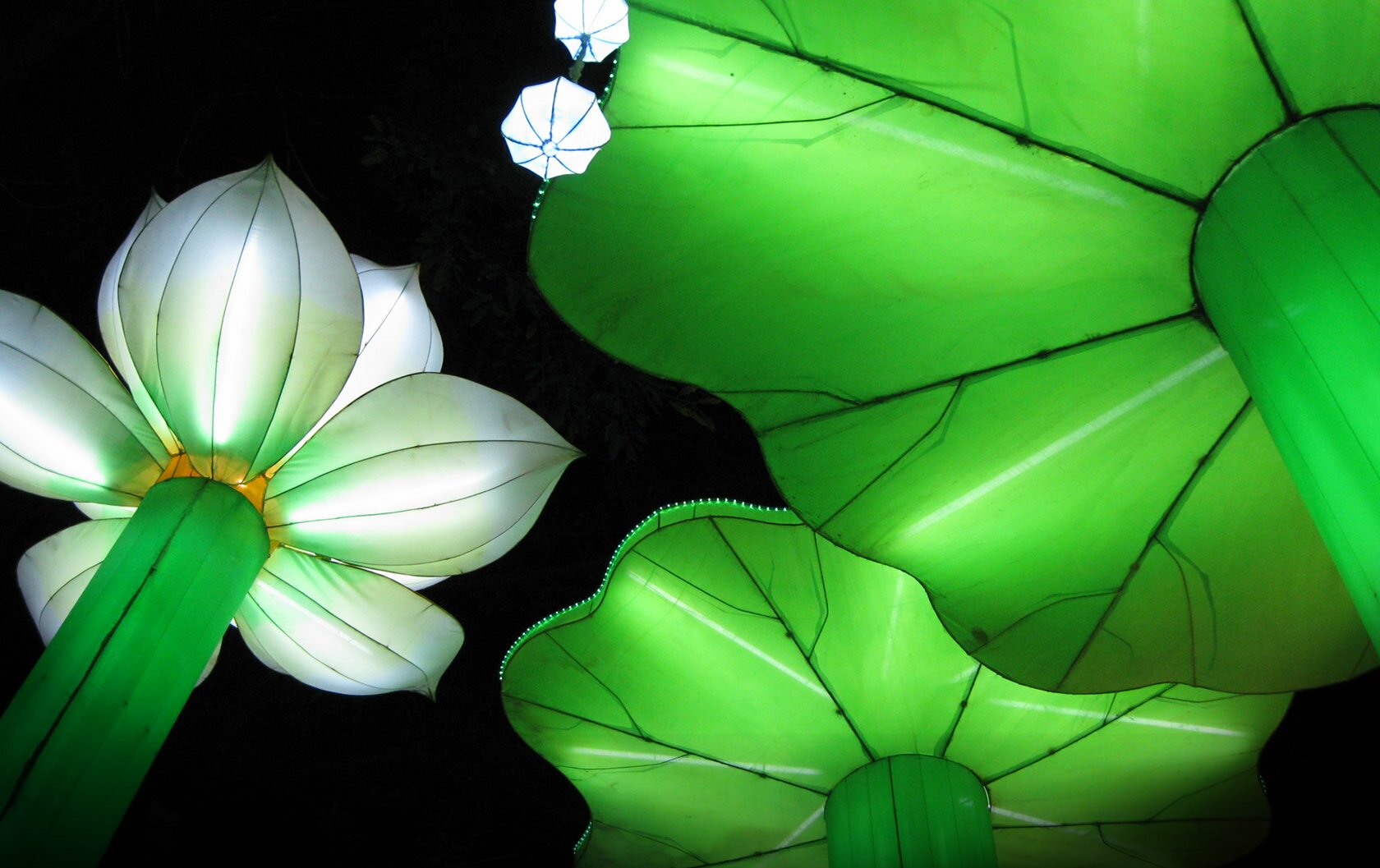 /Luminasia/images/photo-img9.jpg
